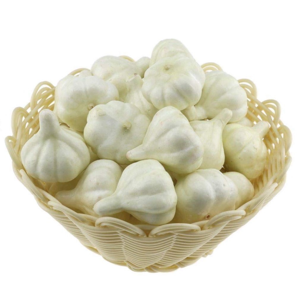 plastic garlic craziest Amazon products