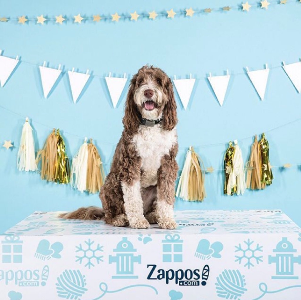 Zappos