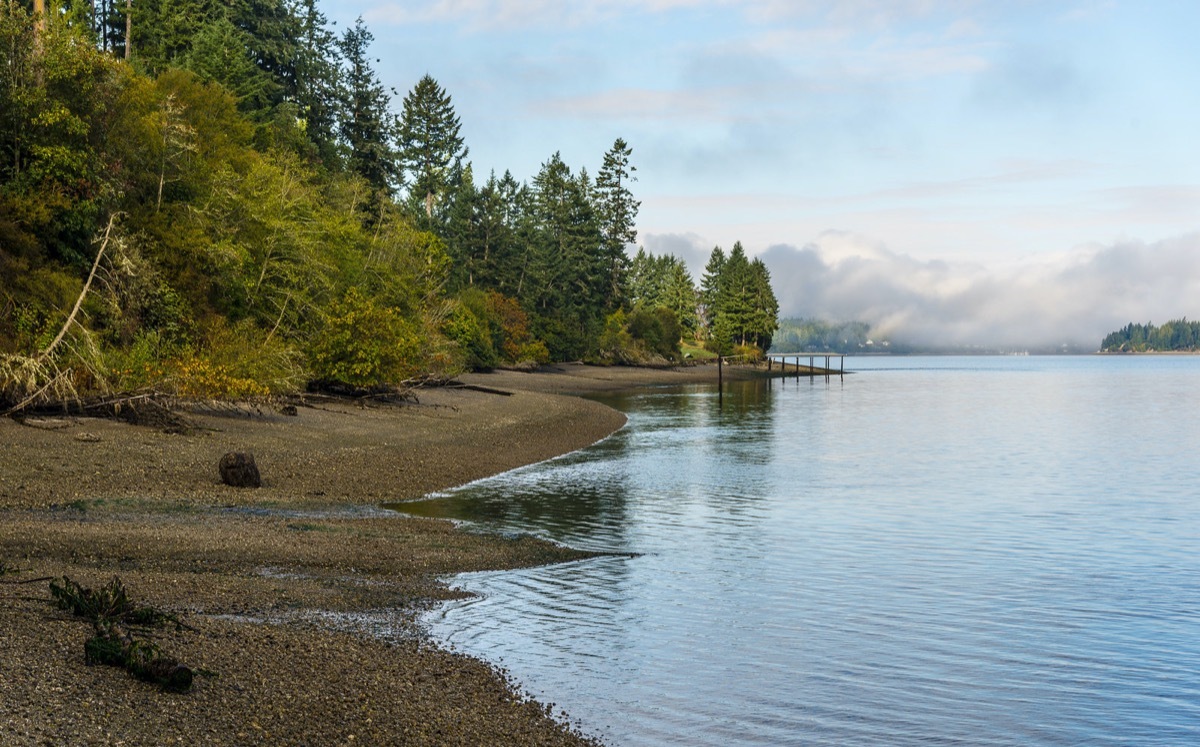 fall morning on Anderson Island, Washington