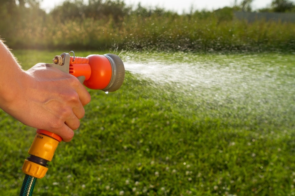 watering lawn