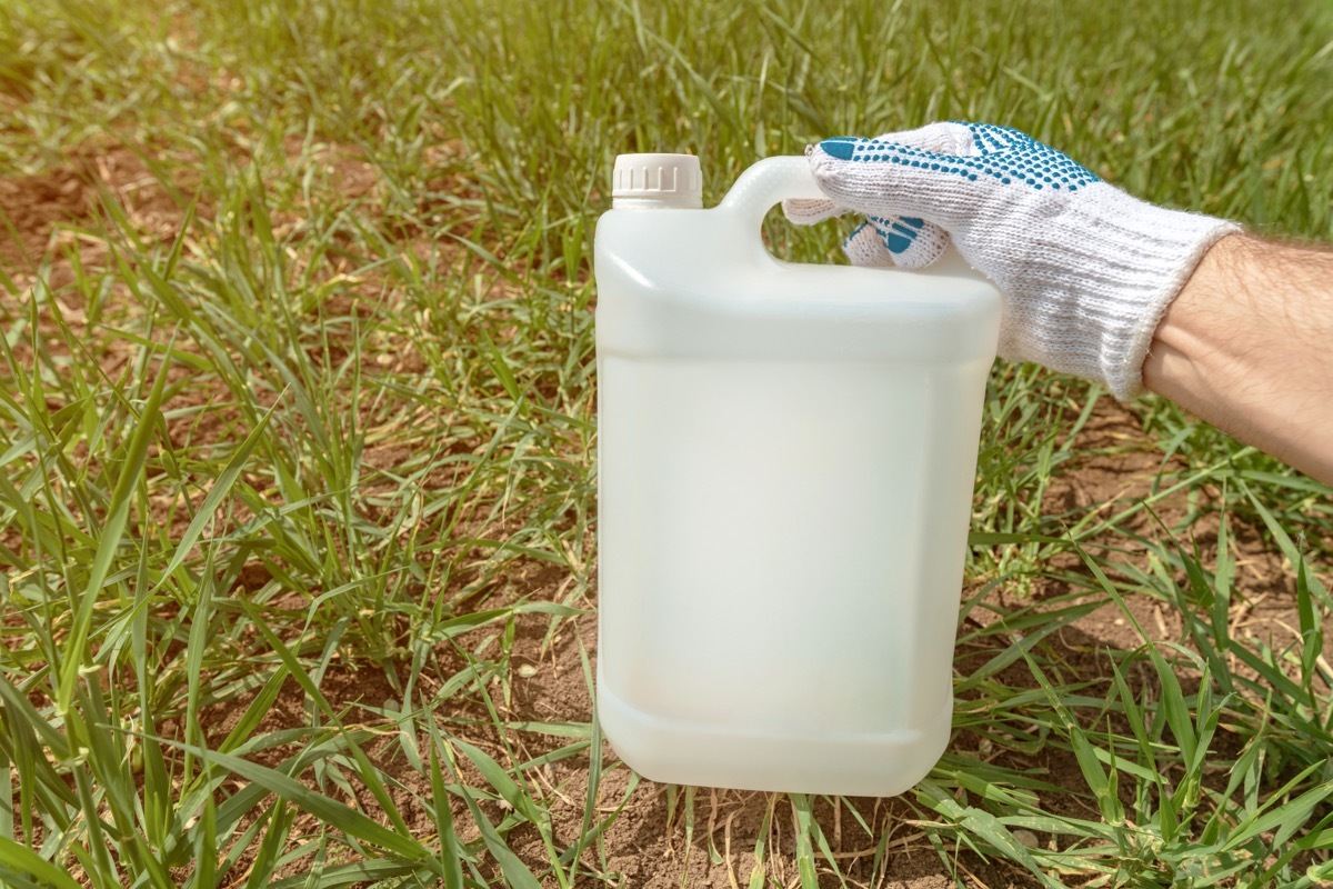 white man holding white pesticide container over lawn