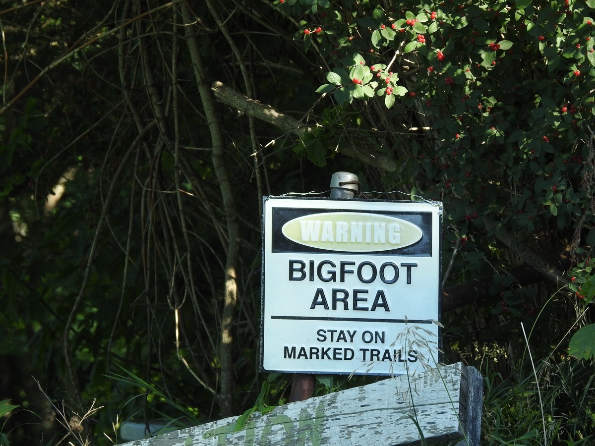 Bigfoot Warning Sign in forest, state fact about Oklahoma