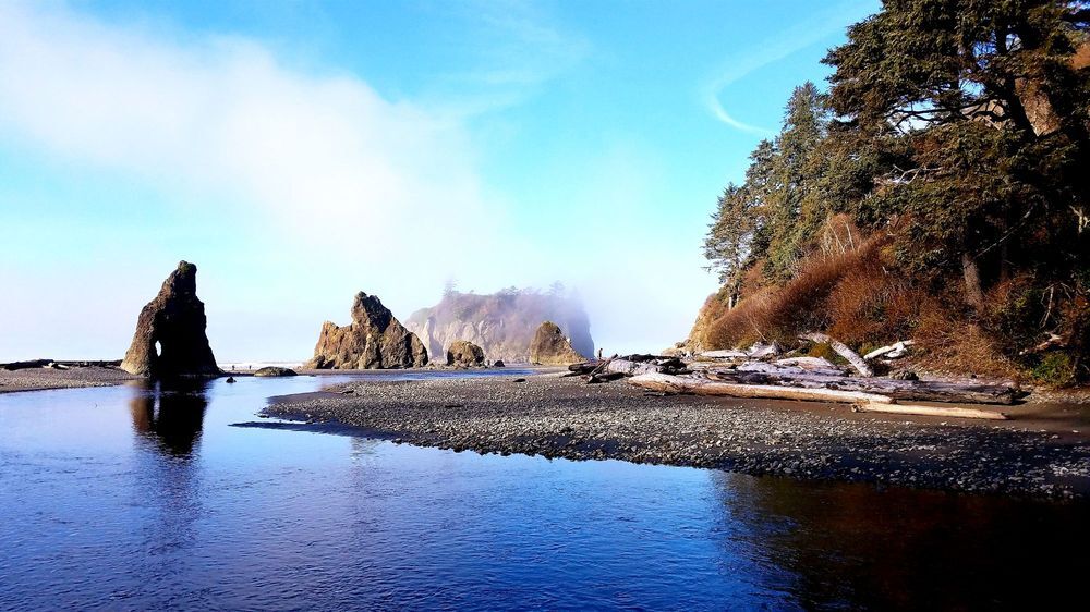 Ruby's Beach in Washington