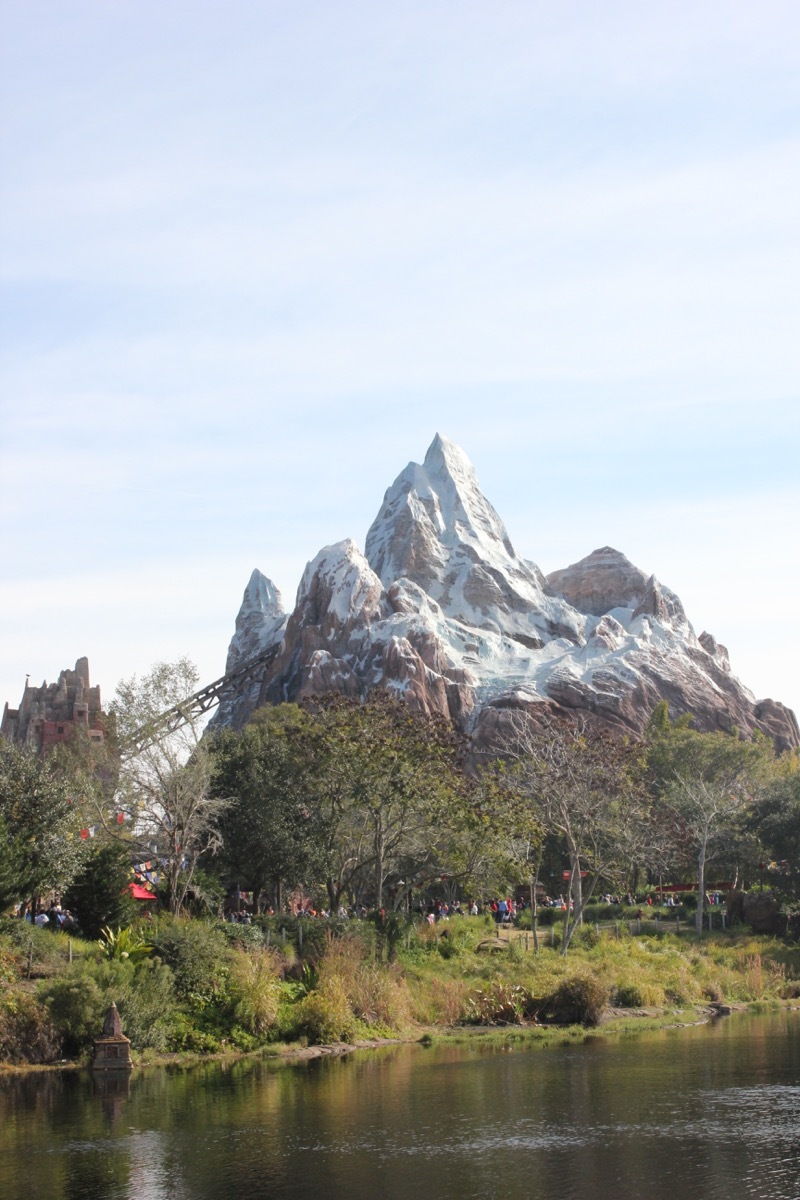 Expedition Everest roller coaster in Disney World's Animal Kingdom, Disney facts